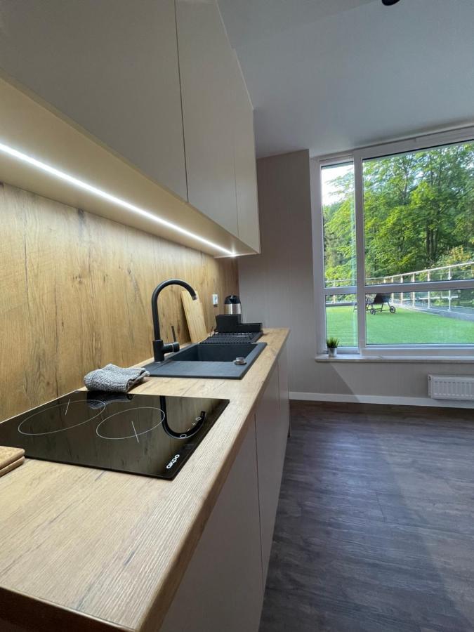 Apartament Kurort Kozubnik - Taras Nad Potokiem Porabka Екстер'єр фото