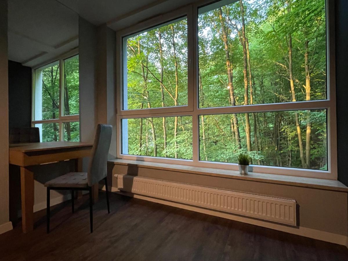Apartament Kurort Kozubnik - Taras Nad Potokiem Porabka Екстер'єр фото