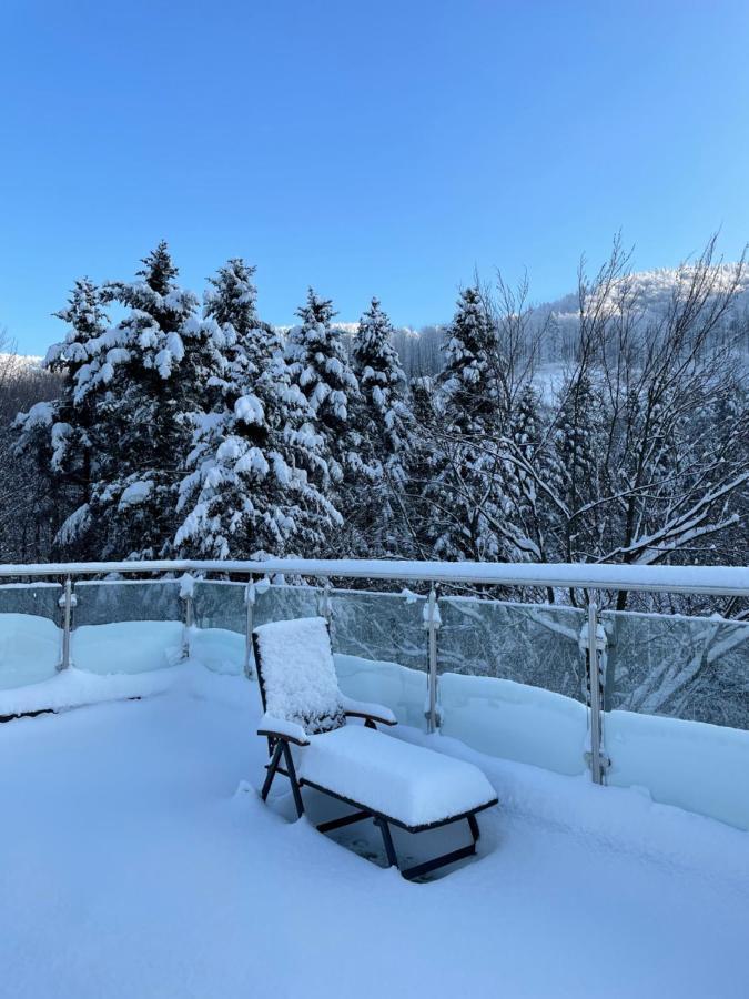 Apartament Kurort Kozubnik - Taras Nad Potokiem Porabka Екстер'єр фото