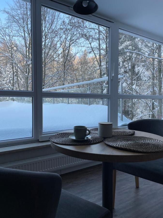 Apartament Kurort Kozubnik - Taras Nad Potokiem Porabka Екстер'єр фото